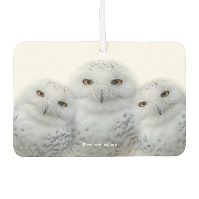 Dreamy Wisdom of Snowy Owls Air Freshener (Front)