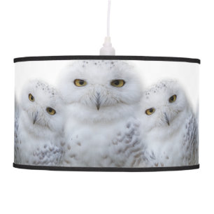 Dreamy Wisdom of Snowy Owls Family Ceiling Lamp