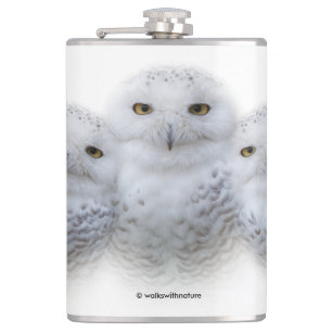 Dreamy Wisdom of Snowy Owls Family Flask