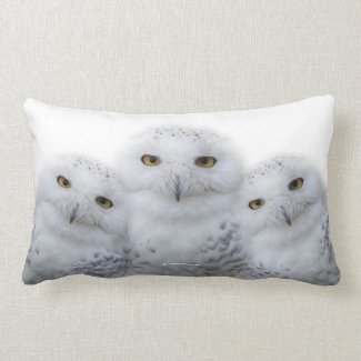 Dreamy Wisdom of Snowy Owls Lumbar Pillow
