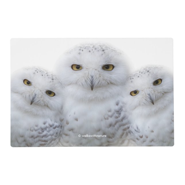 Dreamy Wisdom of Snowy Owls Placemat (Back)
