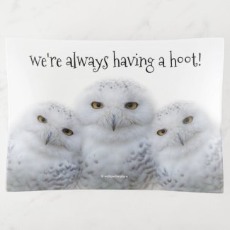Dreamy Wisdom of Snowy Owls