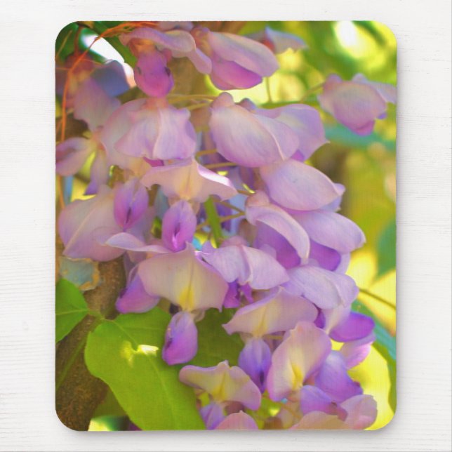 Dreamy Wisteria Flower  Mouse Pad (Front)
