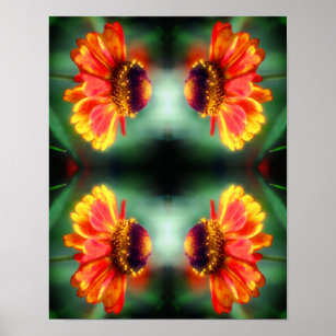 Dreamy Zinnia Flower Abstract Art  Poster