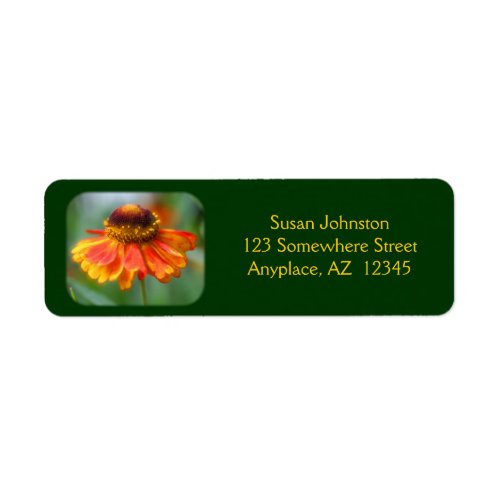 Dreamy Zinnia Flower Address Label