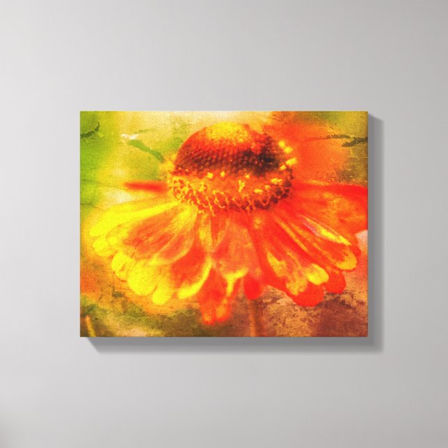 Dreamy Zinnia Flower Distressed  Canvas Print (Front)