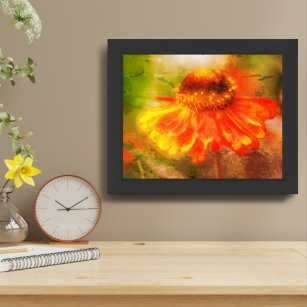 Dreamy Zinnia Flower Distressed Framed Framed Art