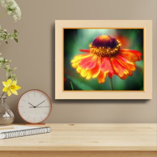 Dreamy Zinnia Flower Framed Framed Art