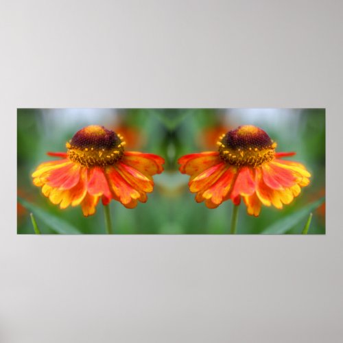 Dreamy Zinnia Flower Mirror Abstract Poster