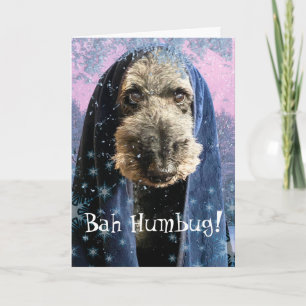 Dreary Christmas Bah Humbug Schnauzer Card