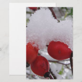 Drei Hagebutten mit Schnee (Front/Back)