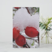 Drei Hagebutten mit Schnee (Standing Front)