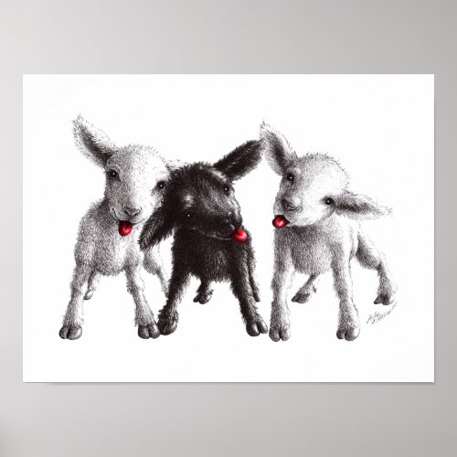 Drei lustige freche Schafe Poster