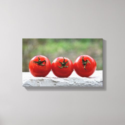 Drei Tomaten auf der Mauer Canvas Print