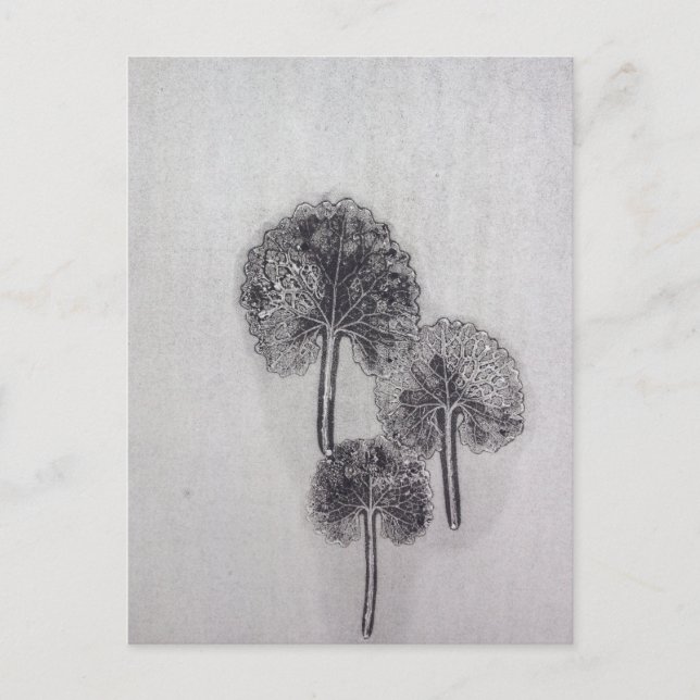 Dreiblatt Postcard (Front)