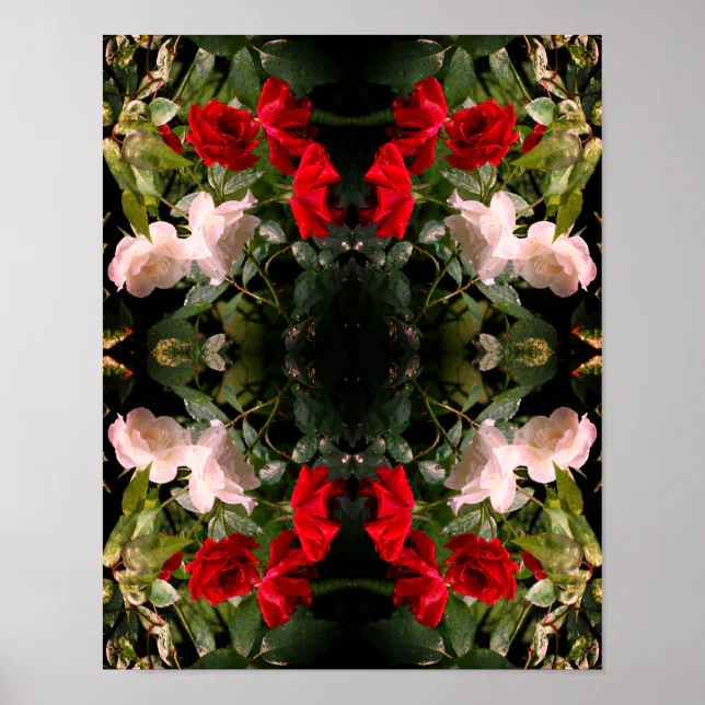 Red White Roses Abstract Drenched Red And White Roses Abstract Poster | Zazzle