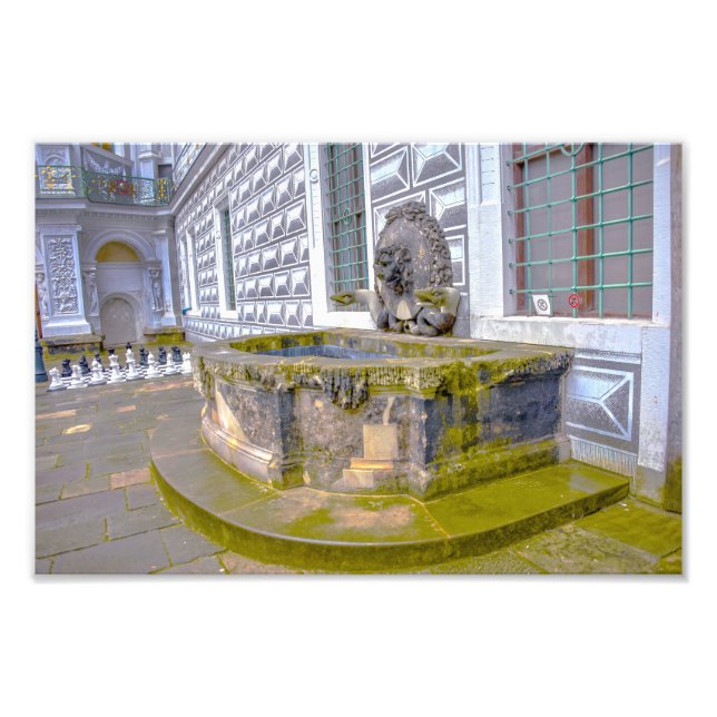 Dresden Castle Lion Fountain, Germany Photo Print (Front)