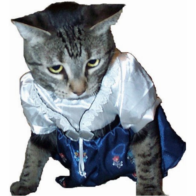 Dress kitty cat shaped magnet/ornament/keychain statuette (Front)