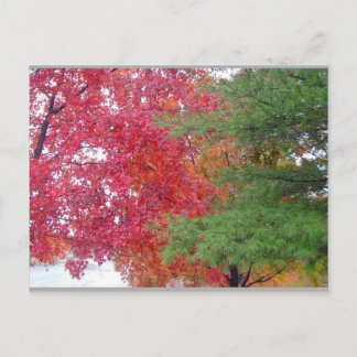 dress (to fit the mood) postcard