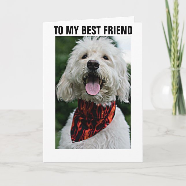 DRESS UP FOR "BEST FRIEND'S BIRTHDAY" CARD (Front)