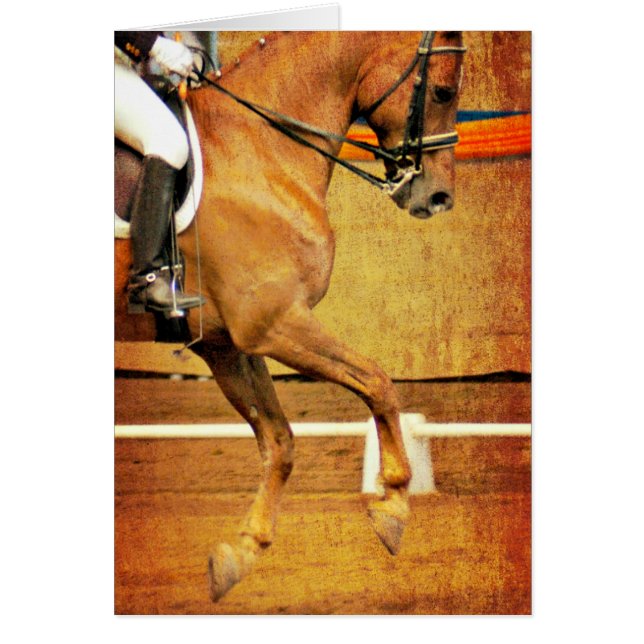 Dressage Cards (Front)