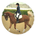 Dressage Extensions Stickers