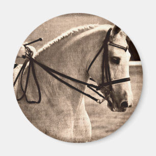 Dressage Grunge Magnet