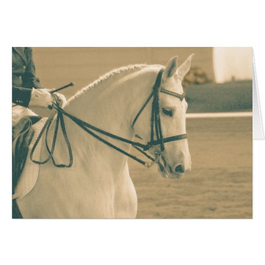 Dressage Horse (Front Horizontal)