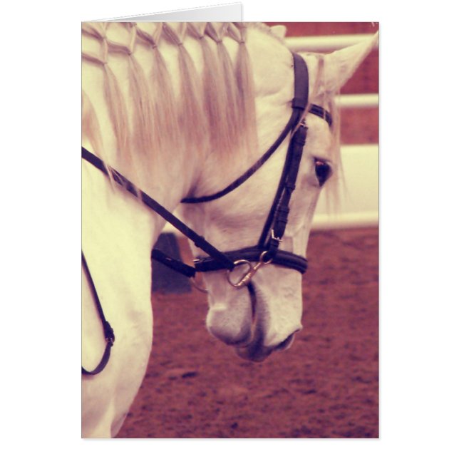Dressage Horse Faux Vintage Cards (Front)