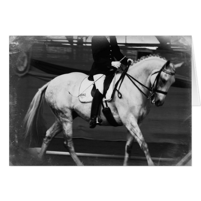 Dressage Horse Grunge Cards (Front Horizontal)
