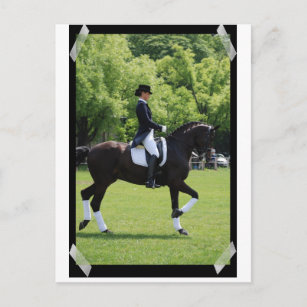 Dressage Horse Show Rider on Postcard