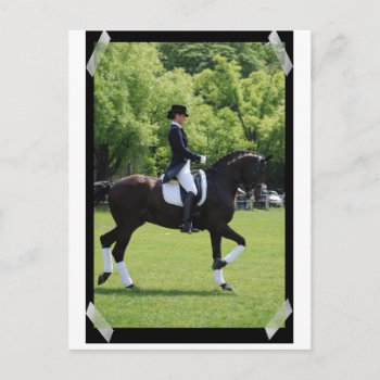 Dressage Horse Show Rider On Postcard by HorseStall at Zazzle
