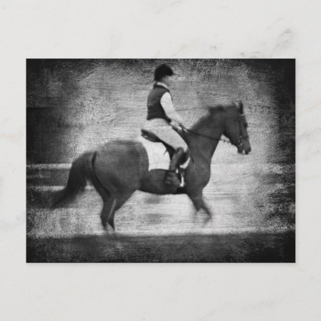Dressage in Black and White Grunge Postcard (Front)