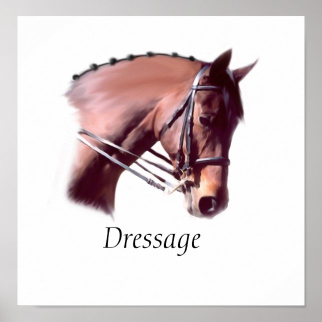 Dressage Poster (Front)