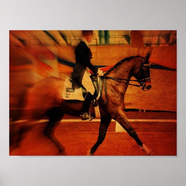 Dressage Poster (Front)
