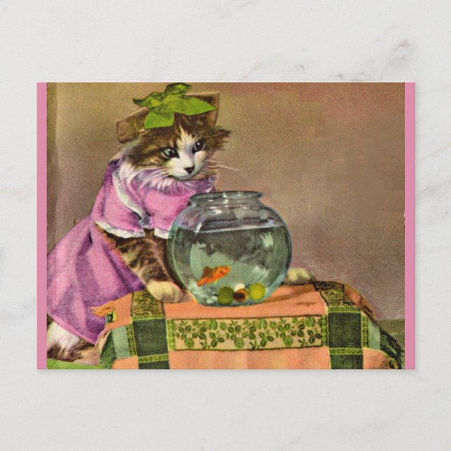 dressed cat and fish bowl postcard (Front)