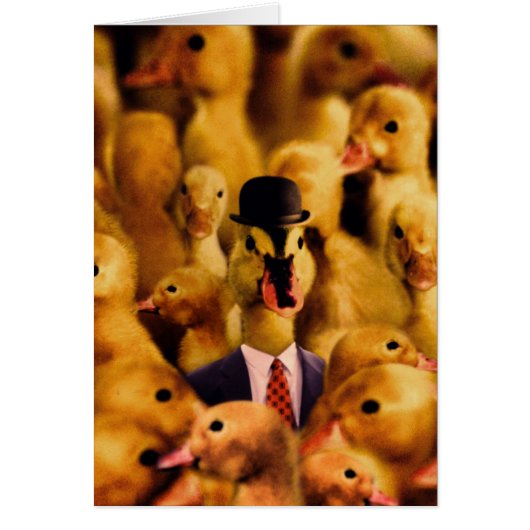 Dressed For Success Duck Cards (Front)