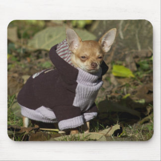 Dressed to kill mouse pad