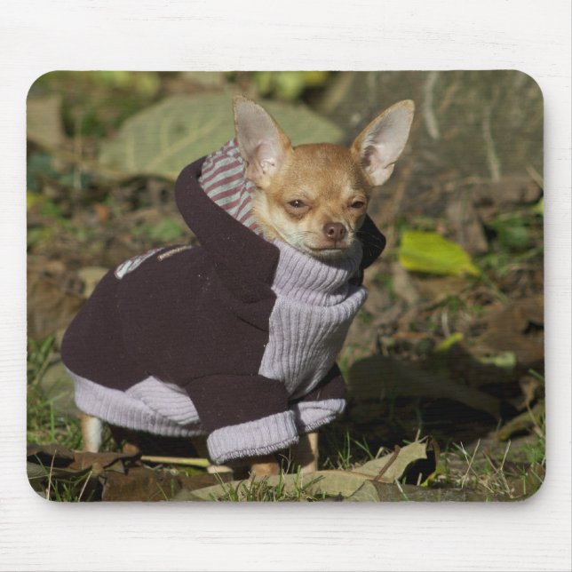 Dressed to kill mouse pad (Front)