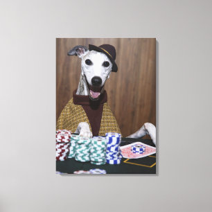 Dressed up Whippet dog at gambling table Canvas Print