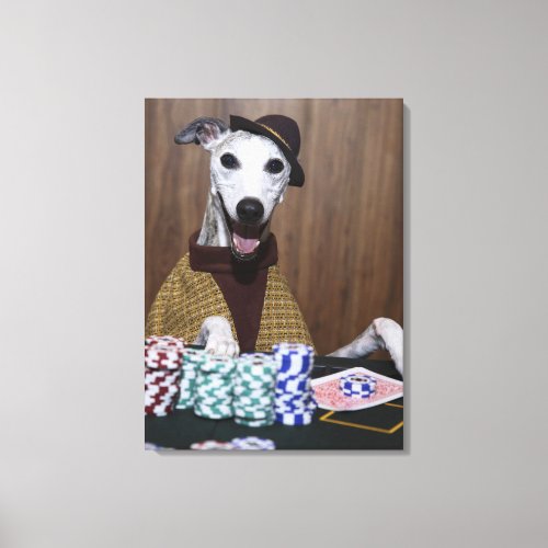 Dressed up Whippet dog at gambling table Canvas Print