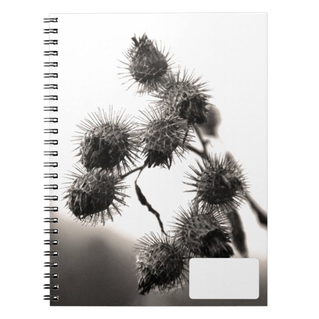 Dried burdock notebook (Front)