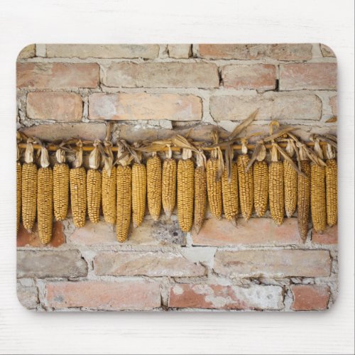 Dried Corn Cobs Mouse Pad
