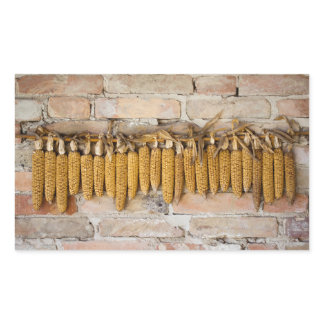 Dried Corn Cobs Rectangular Sticker