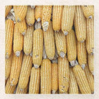 Dried Corn Stack: Textured Glass Coaster
