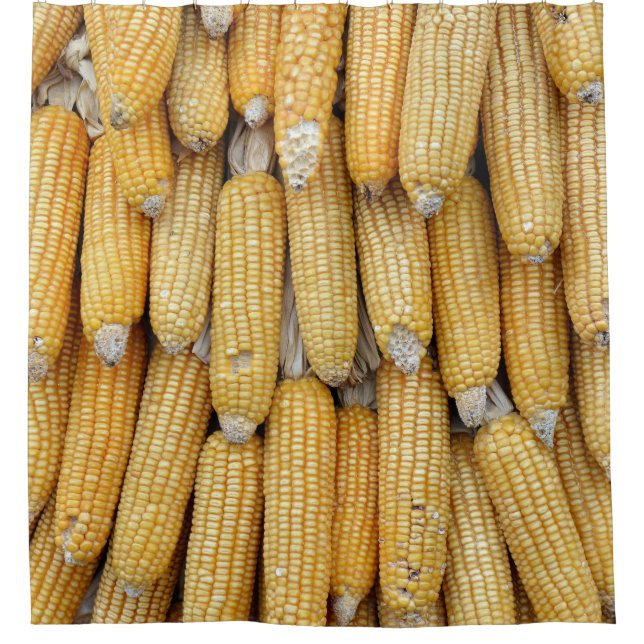 Dried Corn Stack: Textured Shower Curtain (Front)