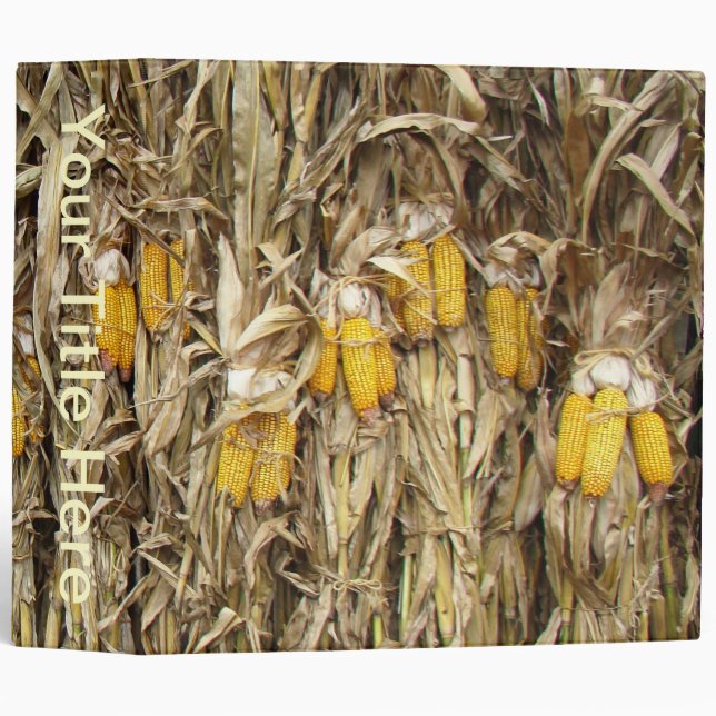 Dried Corn Stalk Decorations 3 Ring Binder (Front/Spine)