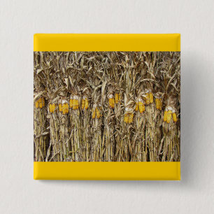 Dried Corn Stalk Decorations Button