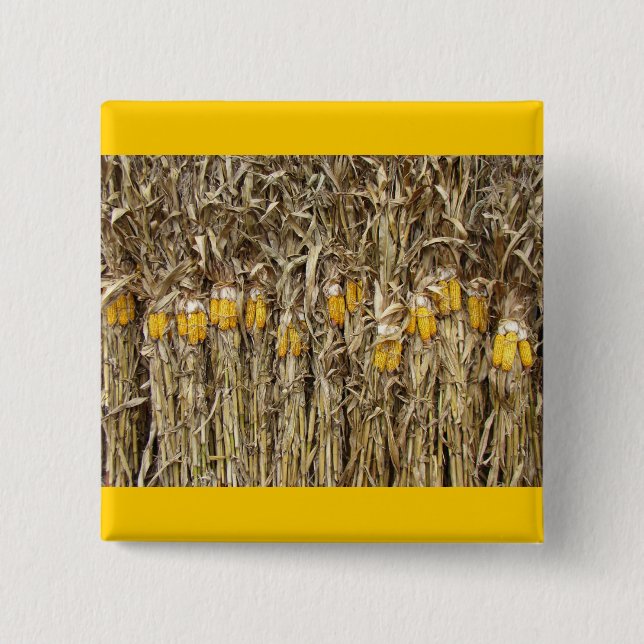 Dried Corn Stalk Decorations Button (Front)