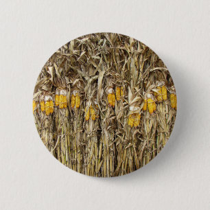 Dried Corn Stalk Decorations Pinback Button